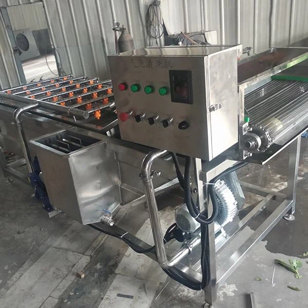 Industrial Leaf Vegetable Tomato Washing Machine