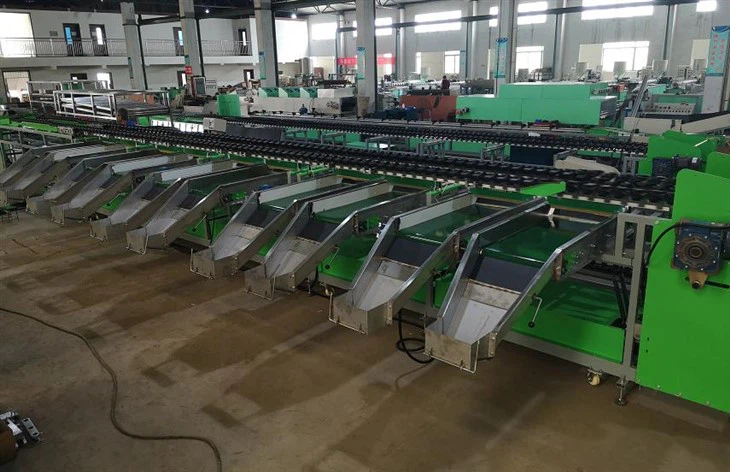 Apple Avocado Soring Grading Machine