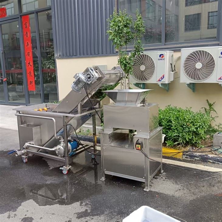 Calamansi Juicer high quality