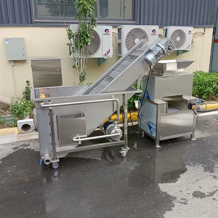 Calamansi Juicer factory