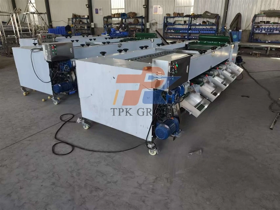 Carrot sorting machine (2)