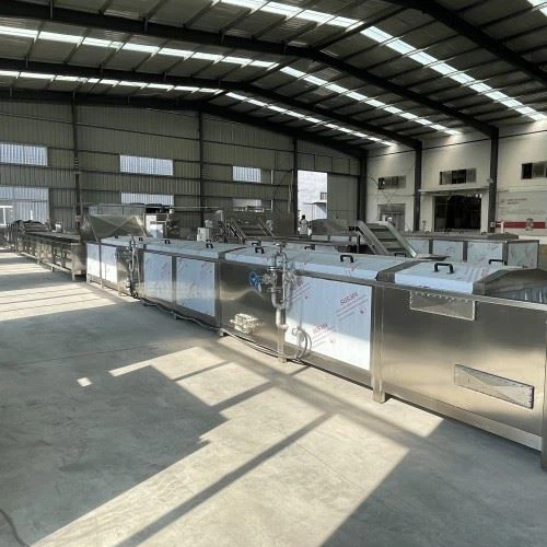 Industrial Fruit Vegetable Washing Machine