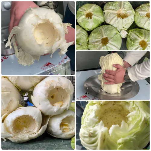 cabbage cabbage