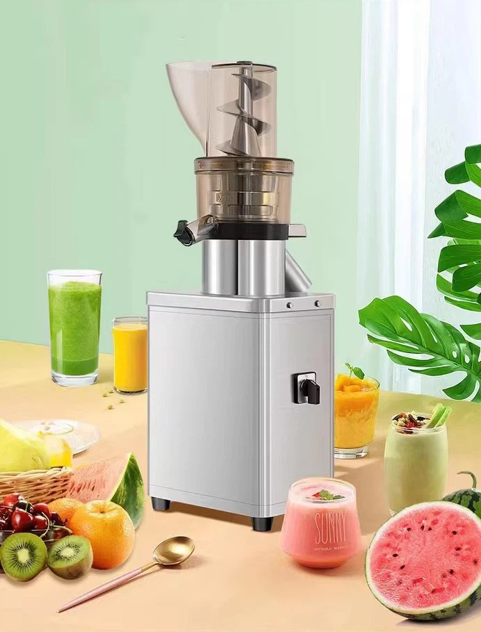 Small Fruit Juicer Machine